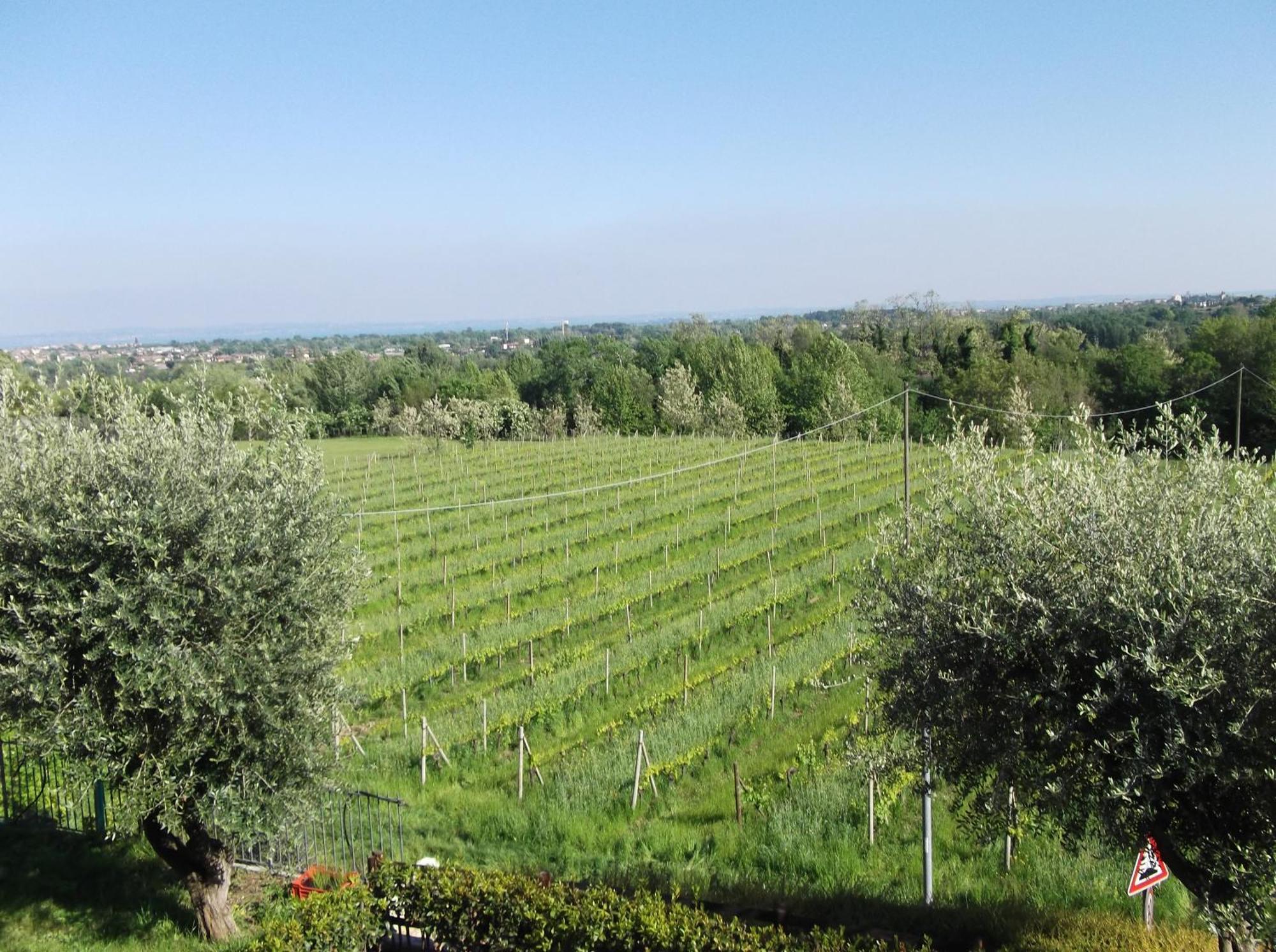 Villa Paradiso Polpenazze del Garda Luaran gambar